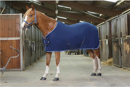 Ekkia Riding World Fleece Rug 1