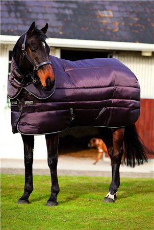 Horseware Amigo Insulator Plus Super Heavy 1