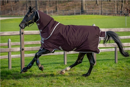 Horseware Amigo Hero Ripstop Plus Medium Turnout 200g 1