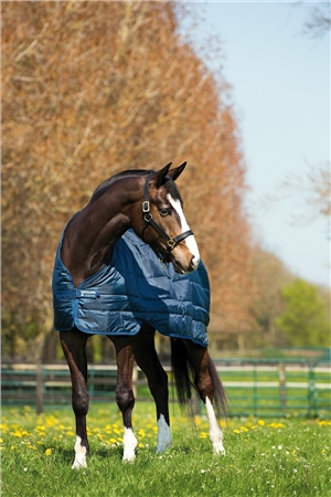 Horseware Liner Lite 100g 1