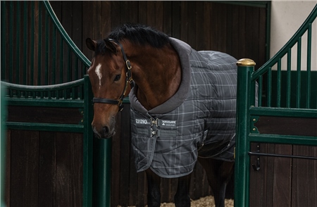 Horseware Rhino Original Stable Rug Medium with Vari-Layer 1