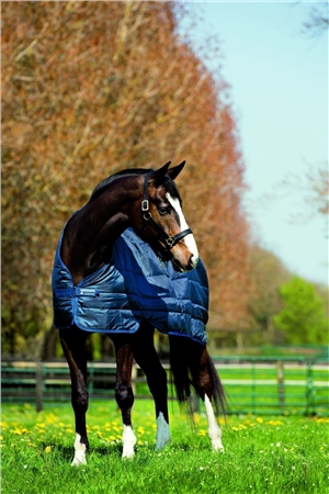 Horseware Liner 200g 1