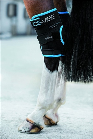 Ice-Vibe Ice Vibe Hock Wrap 1