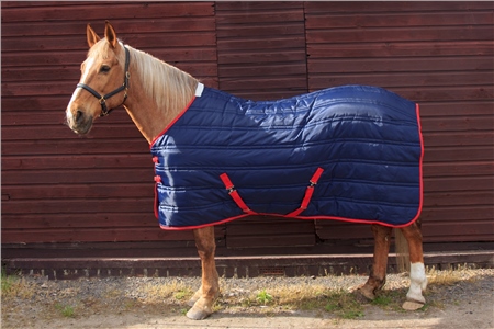 John Whitaker Thomas Stable Rug 250g 1