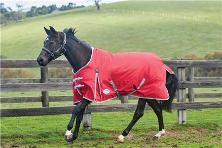 Weatherbeeta Clearance Weatherbeeta Comfitec Classic Standard Neck Turnout Medium 1