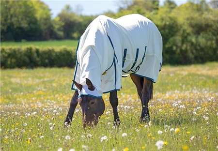 Shires Highlander Plus Sweet-Itch Combo Rug 1