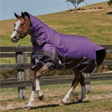 Weatherbeeta Clearance Weatherbeeta Comfitec Plus Dynamic Combo Neck Turnout Medium/Lite 1