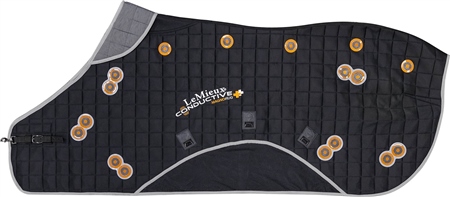 LeMieux Conductive Magno Rug 1