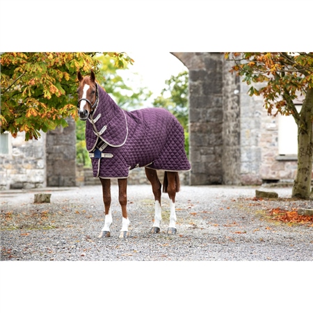 Horseware Amigo Stable Plus Medium - Disc Front Closure - 200g 1