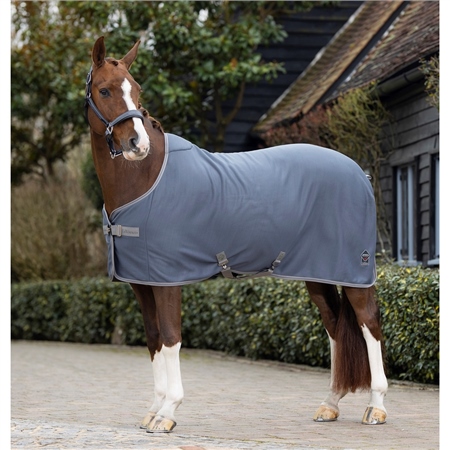 LeMieux Arika Jersey-Tek Rug 1