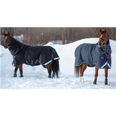 Horseware Amigo Super Bravo Plus Turnout Rug