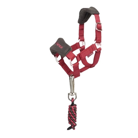 LeMieux Toy Pony Headcollar 1