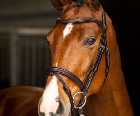 Bridlework