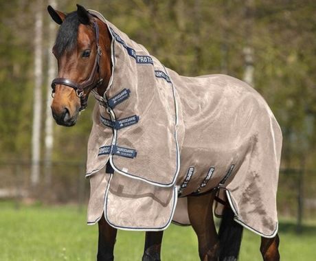 Fly Masks and Rugs