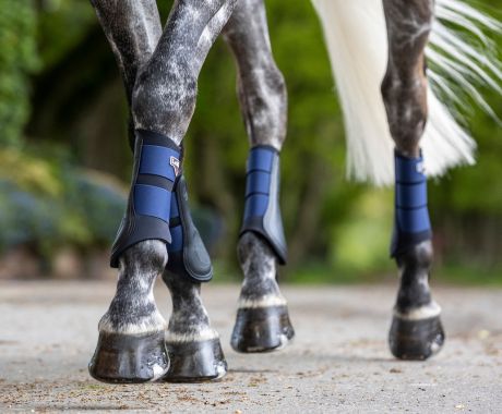 Horse Boots