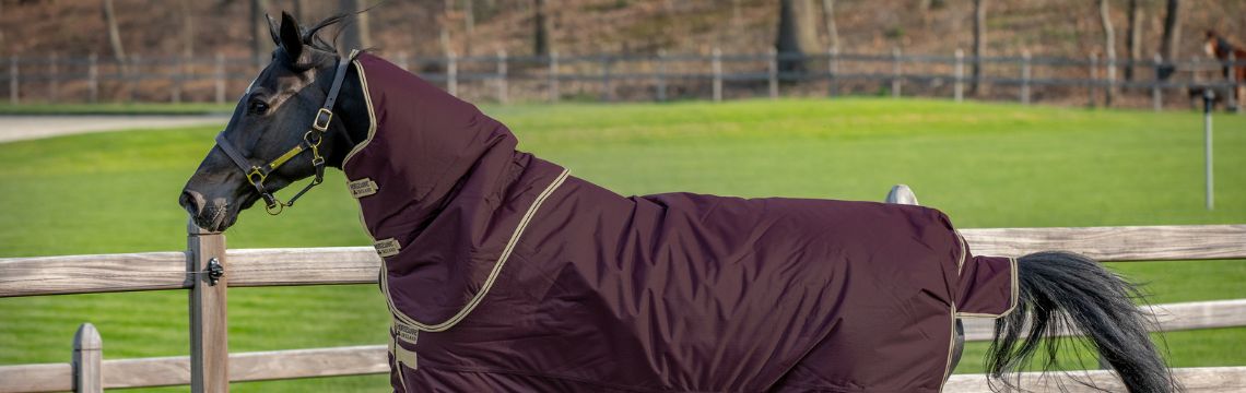 Horse Clothing