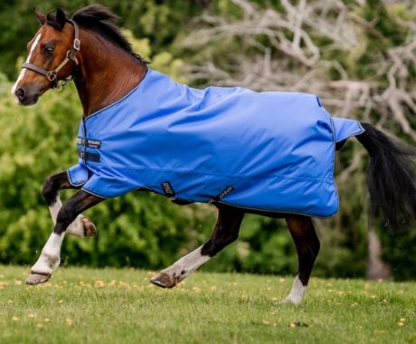 Horse Rugs